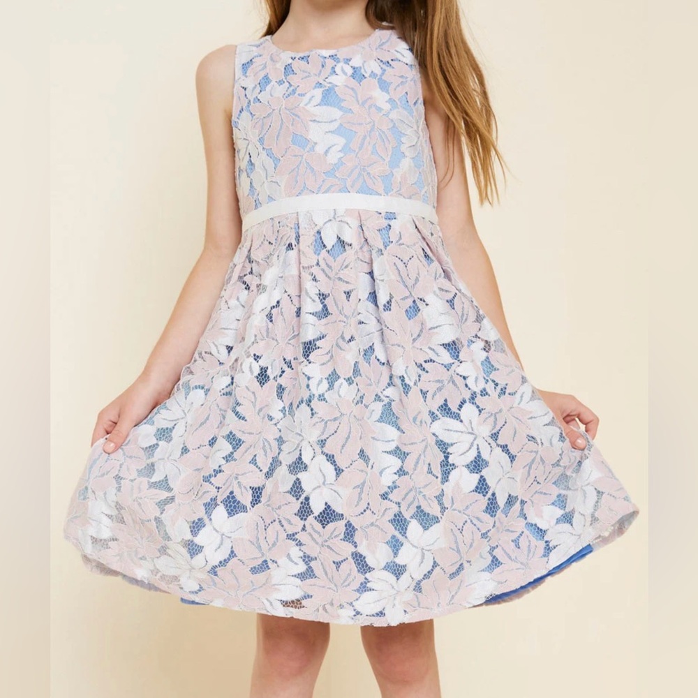 Hayden girls Elegant Floral Lace Kids Dress Soft Pink and Blue NWT